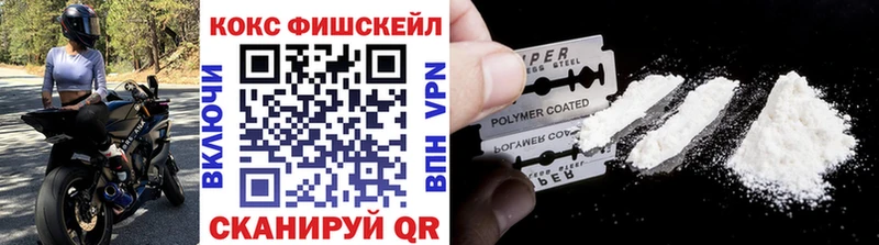 КОКАИН Fish Scale  цена   мега зеркало  Новосокольники 